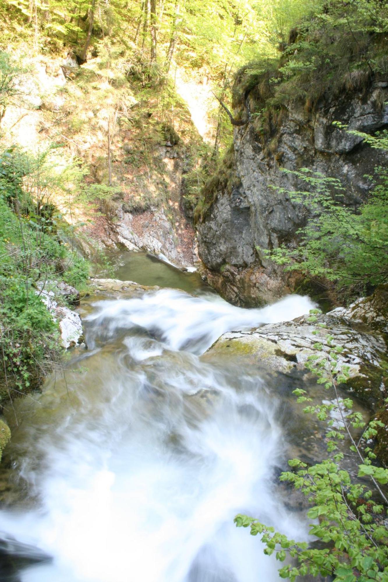 Hupfmuehle Pension Saint Wolfgang Extérieur photo