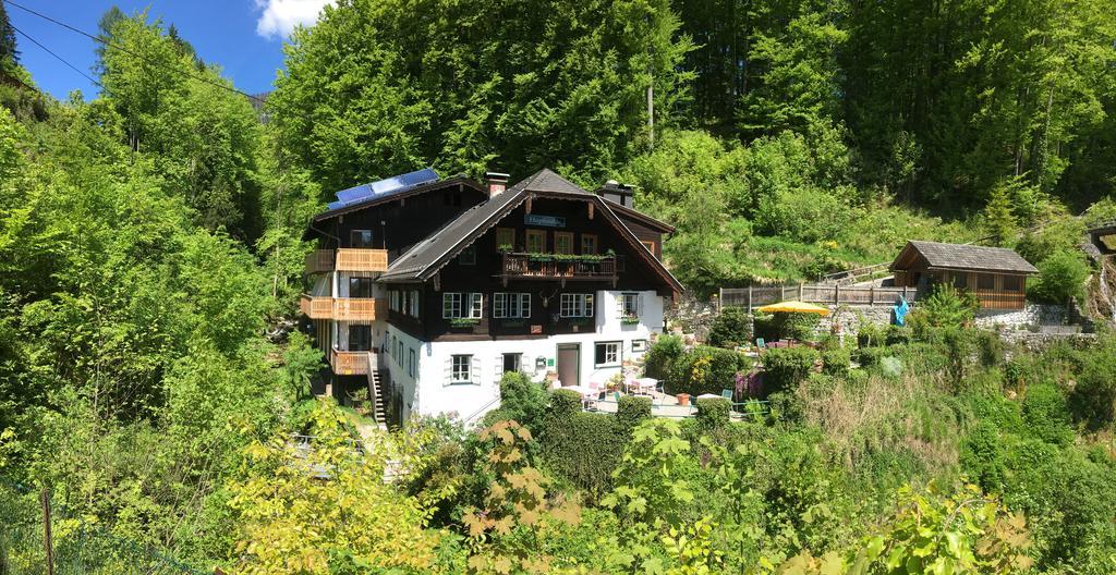 Hupfmuehle Pension Saint Wolfgang Extérieur photo